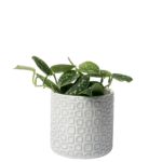 Następny Product Image