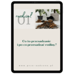 Poprzednie zdjęcie produktu